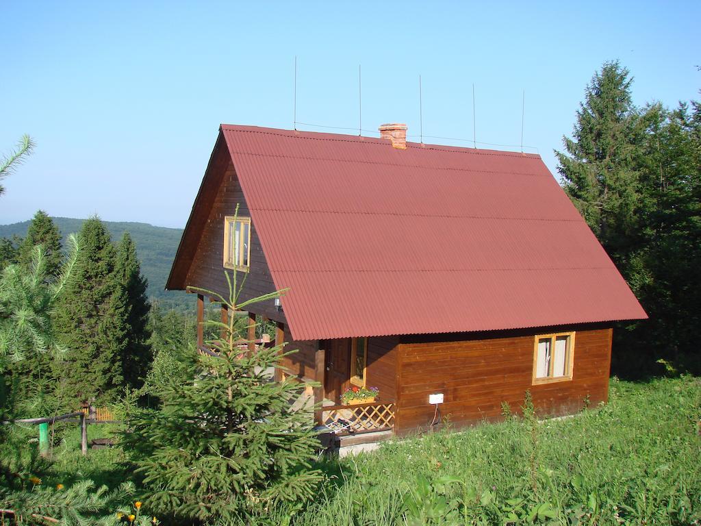 Hotel Karpatski Polonyny à Urych Extérieur photo